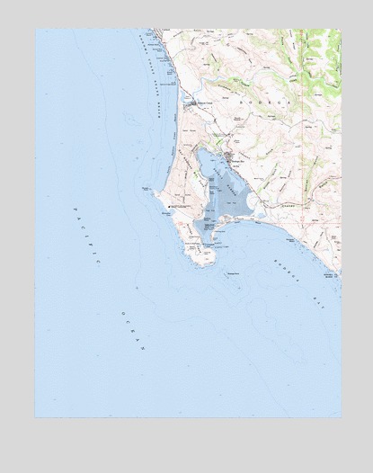 Bodega Head, CA USGS Topographic Map