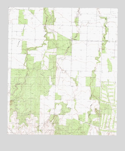 Vancourt, TX USGS Topographic Map