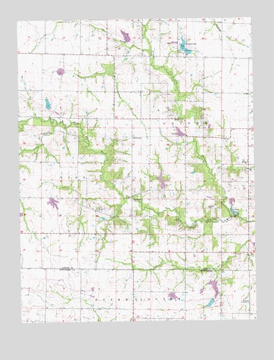 Vandalia Lake, MO USGS Topographic Map