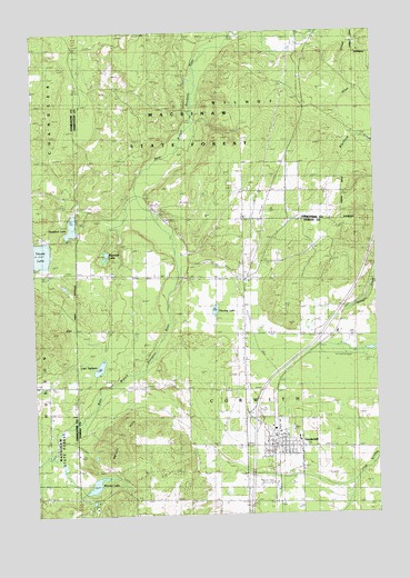 Vanderbilt, MI USGS Topographic Map
