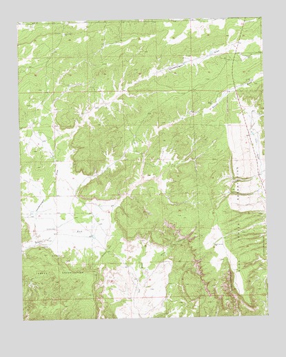 Vanderwagen Draw, NM USGS Topographic Map