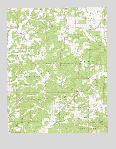 Vanzant, MO USGS Topographic Map