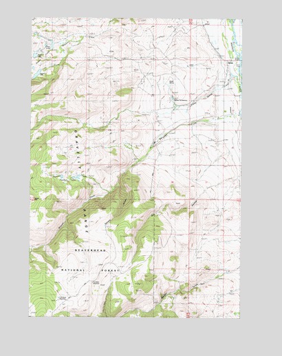 Varney, MT USGS Topographic Map