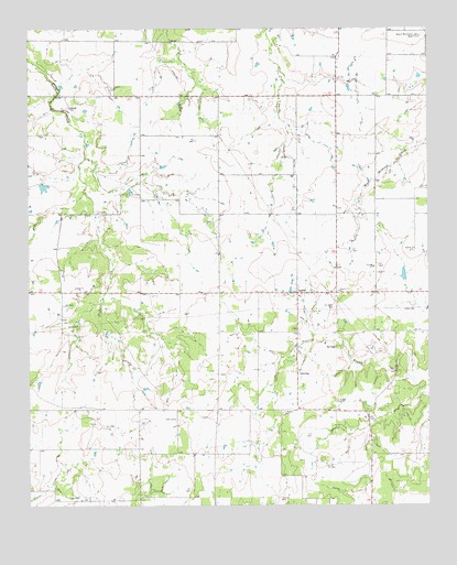 Vashti, TX USGS Topographic Map