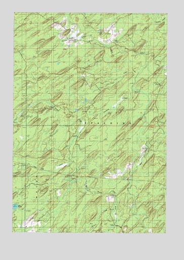 Vega, MI USGS Topographic Map