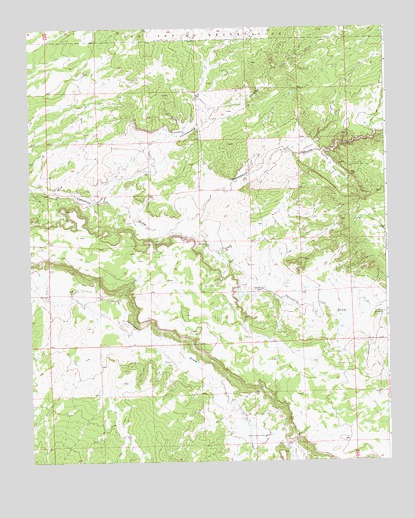 Venadito Camp, NM USGS Topographic Map