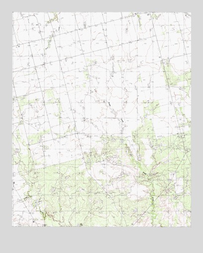Boggy Creek, TX USGS Topographic Map