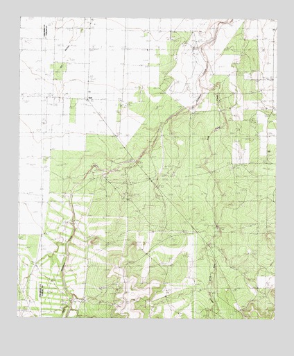 Vick, TX USGS Topographic Map