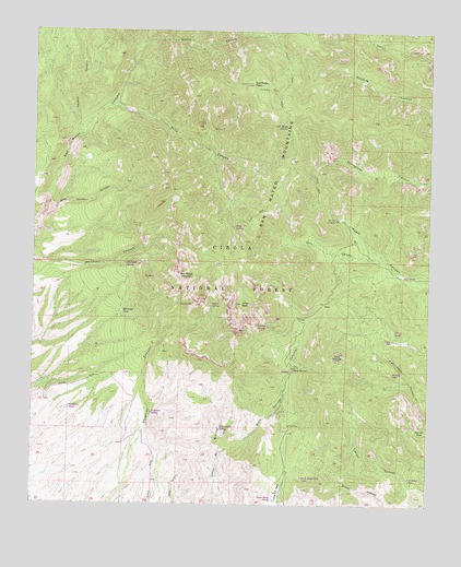 Vicks Peak, NM USGS Topographic Map