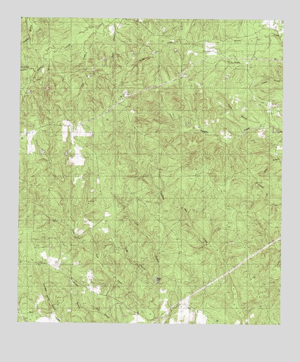 Boggy Lake, TX USGS Topographic Map