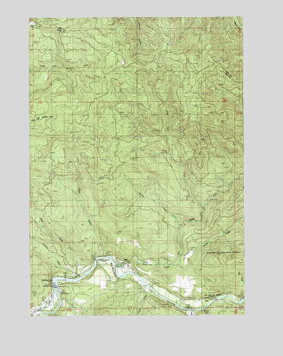 Vida, OR USGS Topographic Map