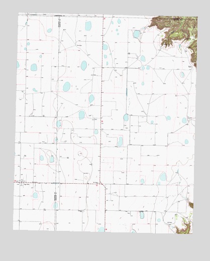 Vigo Park, TX USGS Topographic Map