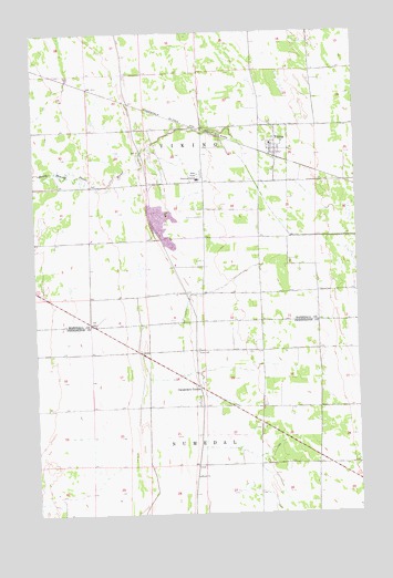 Viking, MN USGS Topographic Map