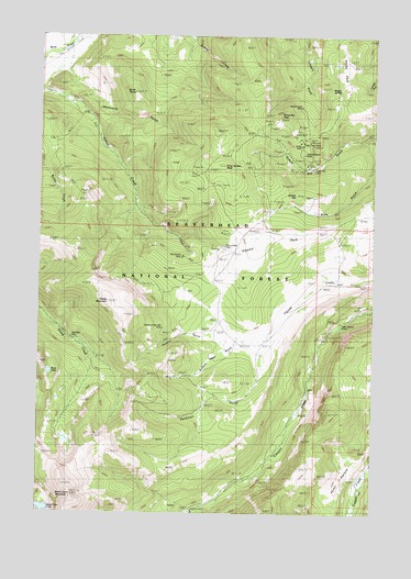 Vipond Park, MT USGS Topographic Map