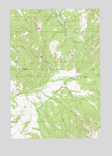 Virginia Peak, MT USGS Topographic Map