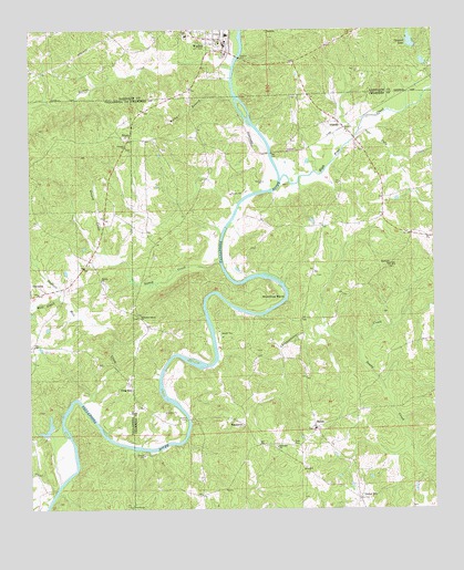 Wadley South, AL USGS Topographic Map