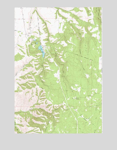 Waha, ID USGS Topographic Map