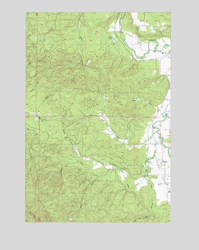 Boistfort, WA USGS Topographic Map