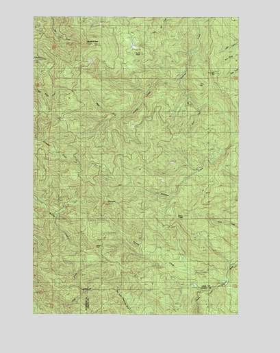 Boistfort Peak, WA USGS Topographic Map