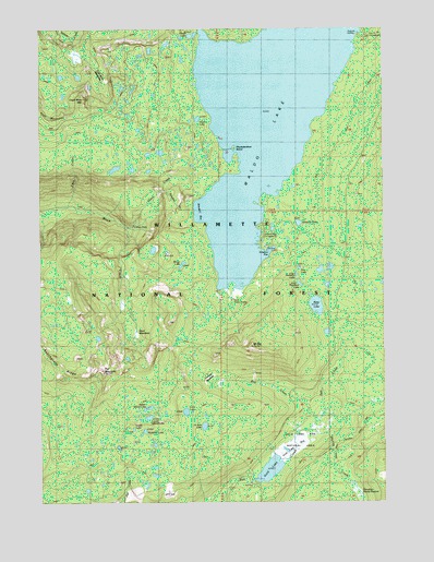 Waldo Lake, OR USGS Topographic Map