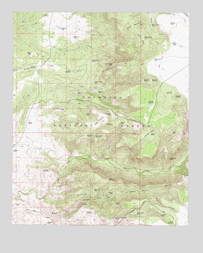 Walker Mountain, AZ USGS Topographic Map