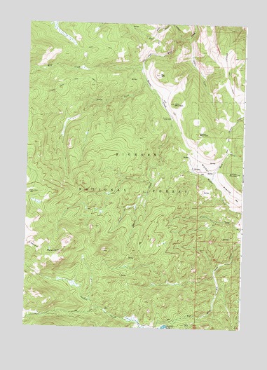 Walker Mountain, WY USGS Topographic Map