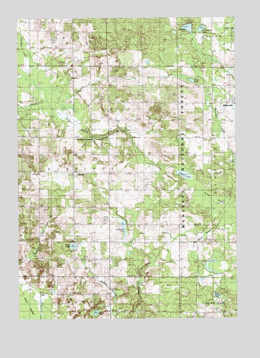 Walkerville West, MI USGS Topographic Map