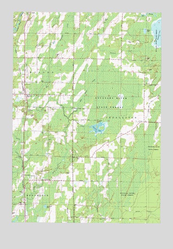 Wallace, MI USGS Topographic Map