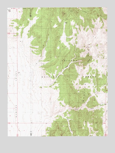 Wallace Canyon, NV USGS Topographic Map