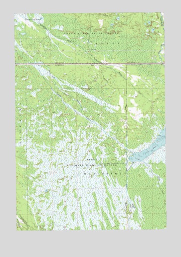 Walsh, MI USGS Topographic Map