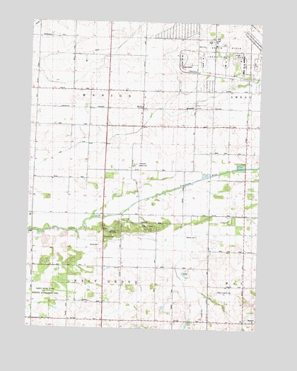 Walton, IL USGS Topographic Map