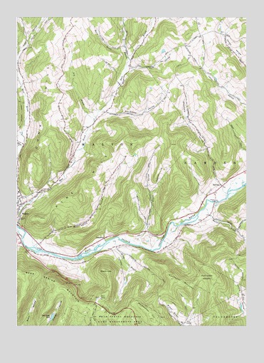 Walton East, NY USGS Topographic Map