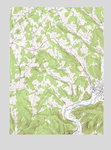 Walton West, NY USGS Topographic Map