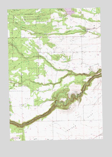 Wamic, OR USGS Topographic Map