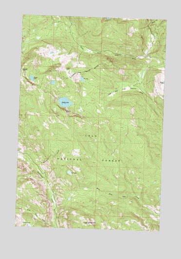 Wapiti Lake, MT USGS Topographic Map