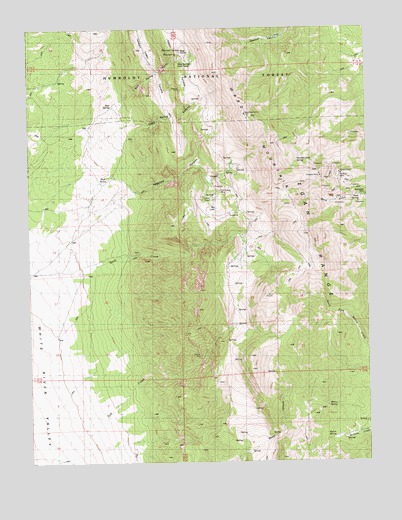 Ward Mountain, NV USGS Topographic Map