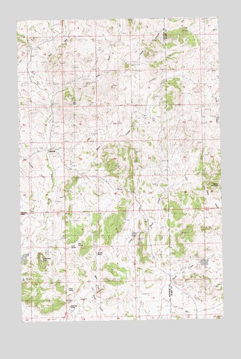 Warrick, MT USGS Topographic Map