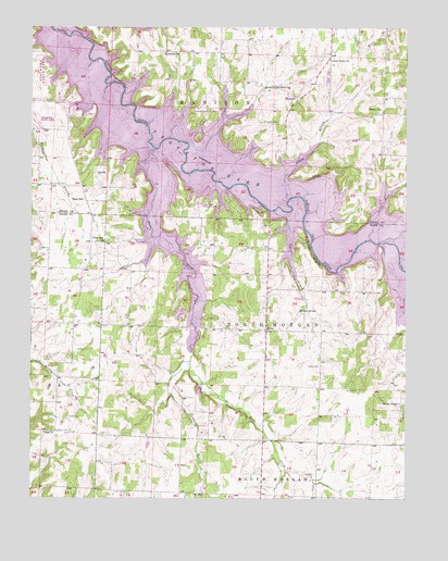 Bona, MO USGS Topographic Map