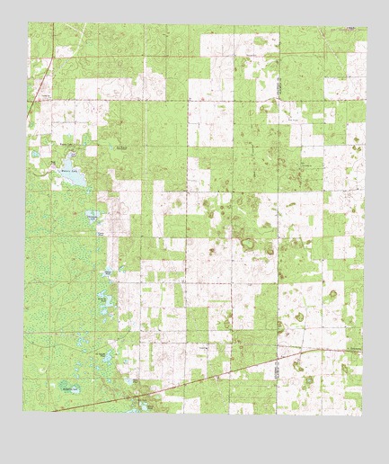 Waters Lake, FL USGS Topographic Map