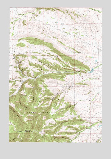 Watson, MT USGS Topographic Map