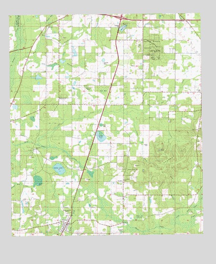 Wausau, FL USGS Topographic Map
