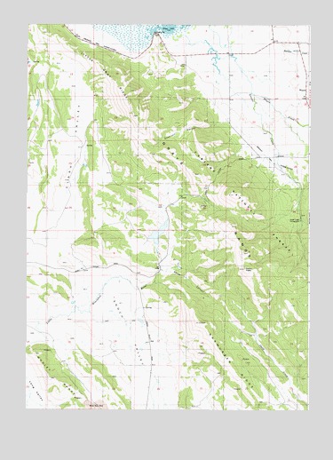 Wayan West, ID USGS Topographic Map