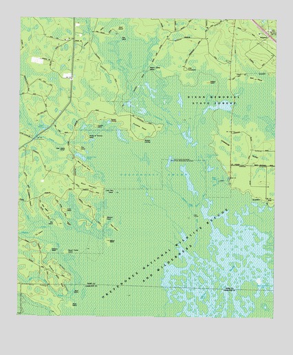 Waycross SE, GA USGS Topographic Map