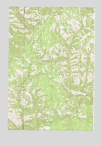 Bone Spring, OR USGS Topographic Map