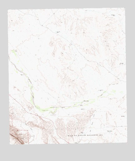 Bone Spring NE, TX USGS Topographic Map