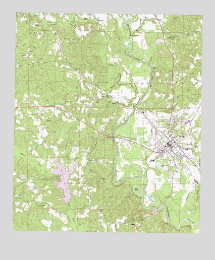 Waynesboro, MS USGS Topographic Map