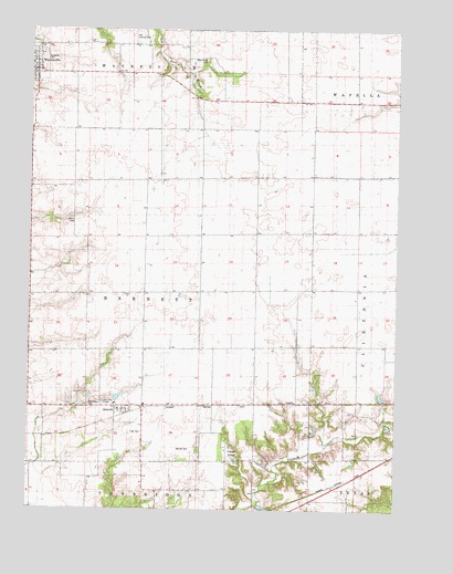Waynesville East, IL USGS Topographic Map