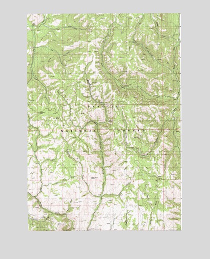 Weasel Gulch, ID USGS Topographic Map