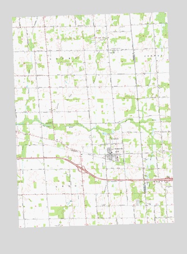 Webberville, MI USGS Topographic Map