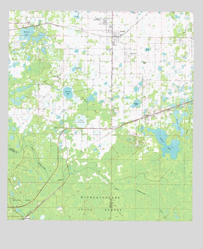 Webster, FL USGS Topographic Map